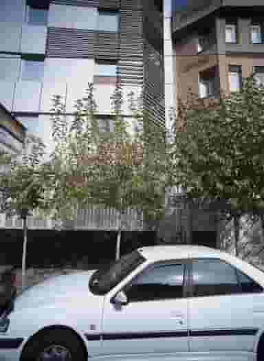 ساختمان سیندخت در شریعتی تهران