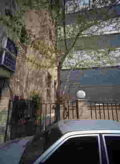 دکتر محمد هادی تحریری در داوودیه تهران