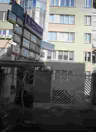 دکتر محمد رضا بروجردی آذر در توحید تهران