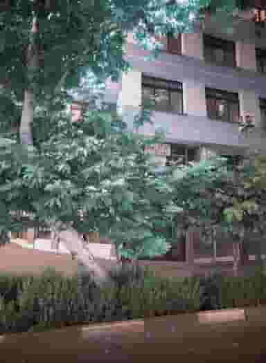 مجتمع پزشکی193 در دانشگاه تهران تهران