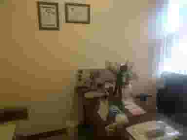 مطب چشم پزشکی دکتر مرتضی نجفی شهرک آزمایش تهران