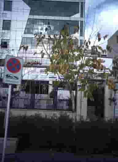 دکتر سید علاء الدین نبوی کوی مهران تهران