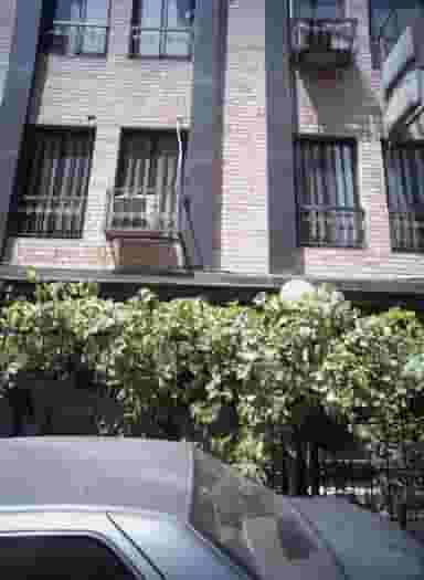 مطب سوسن کردبچه در سنگلج تهران