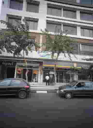 دکتر علیرضا محمدی در فردوس تهران