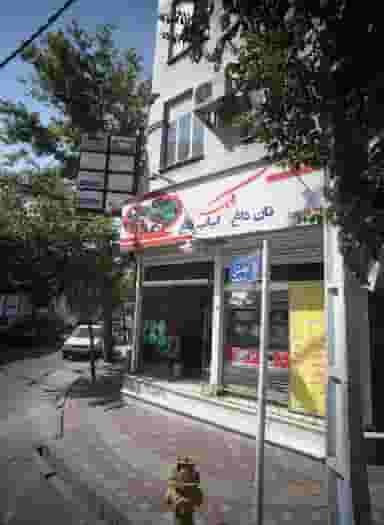 دکتر علی بشیری در باغ خزانه تهران