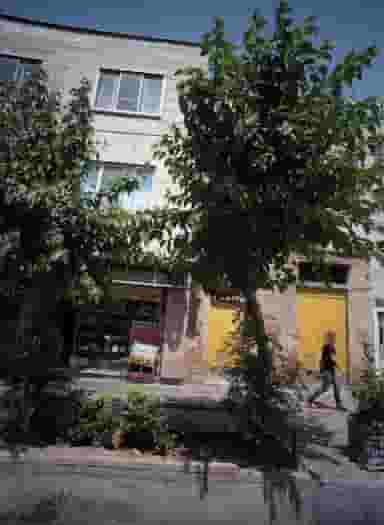 دکتر مسعود سماعی در سهروردی تهران