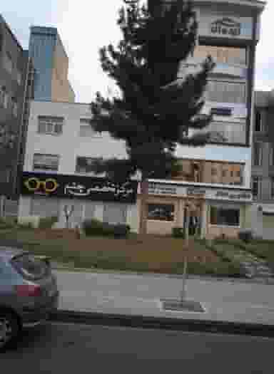 دکتر محمد رضا محمدیان در ایوانک تهران