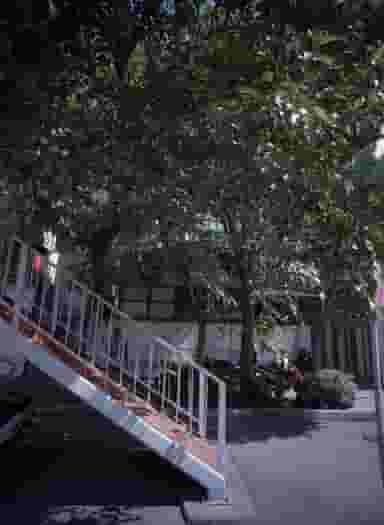 دندانپزشکی در سهروردی تهران