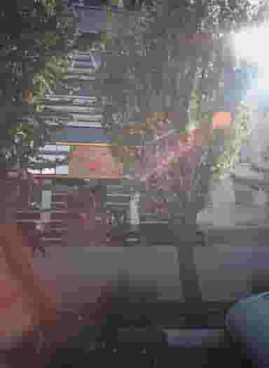 دکتر بیتا جبلی در حکمت تهران