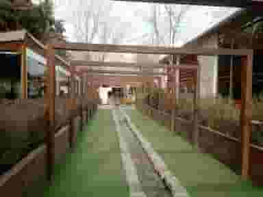 باغ رستوران دورهمی در کوهک تهران