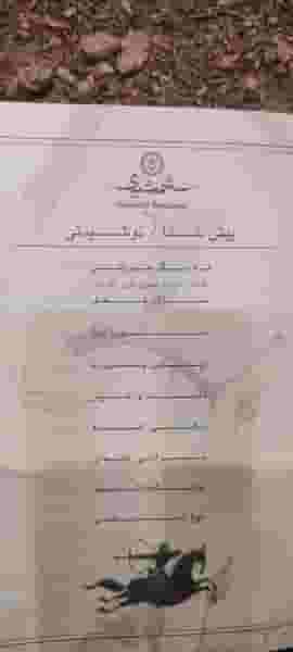 رستوران شمشیری در حکمت تهران