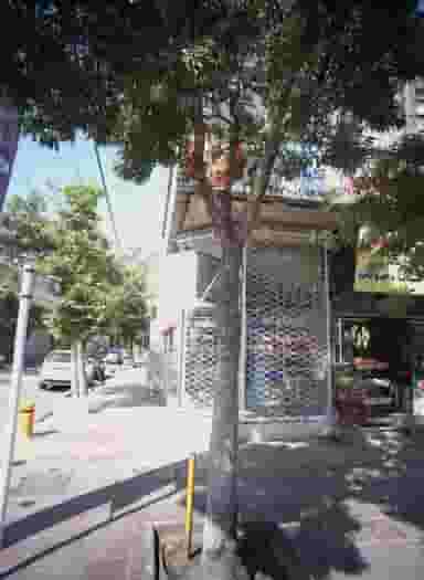 کباب سرای امت در ایثار مشهد