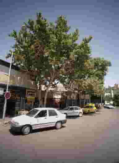 کباب و حلیم کامیاب در جنت مشهد