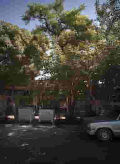 غذا خوری در عامل مشهد