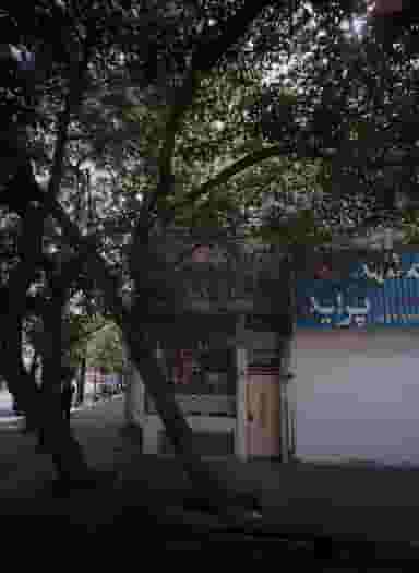 طباخی سحر در امام رضا مشهد