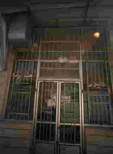 دیزی محب الرضا در عیدگاه مشهد