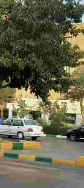 طباخی هفت تیر در نیروی هوایی مشهد