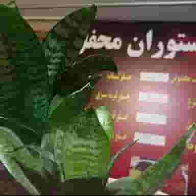 کترینگ و رستوران محفل در شفا مشهد