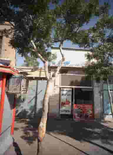 کباب و حلیم نوبهار در نوغان مشهد