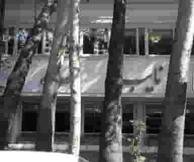 رستوران نایب در الهیه تهران