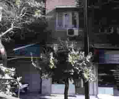 سوپر ساندویچ ارشد در خواجه نصیر طوسی تهران