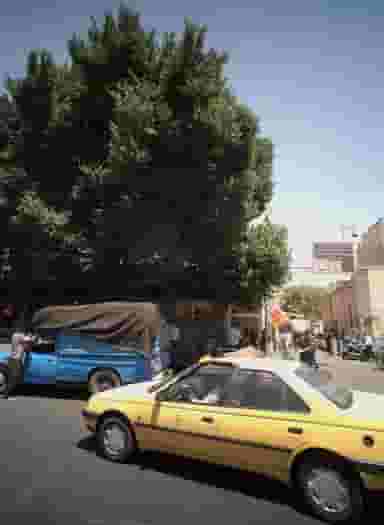 ساندویچ ساحل در بازار تهران