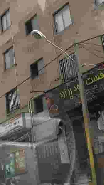 پیتزا ساندویچ رز زرد در جنت آباد شمالی تهران