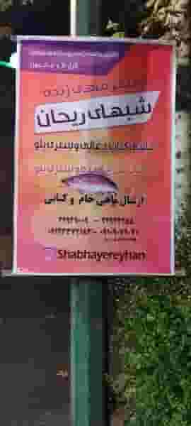 ماهی کباب سنتی شب های ریحان در حسین آباد تهران