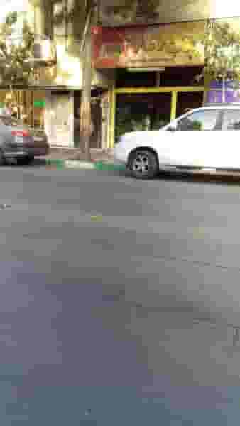 کبابی آرام در درختی کرج