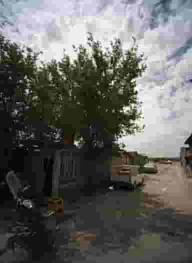 غذا خوری در شهید کاظمی تهران