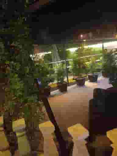 کافه رستوران کوانتوم شیراز