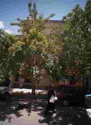 نان لواش در آب و برق مشهد