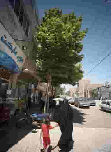 موبایل عسکری در بهمن مشهد