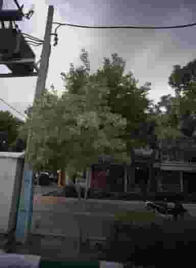 نان سنگک در کارگران مشهد