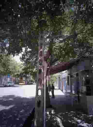 نانوایی بربری در خرمشهر مشهد