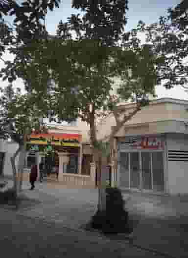 مجتمع نان محسن در شهرآرا مشهد