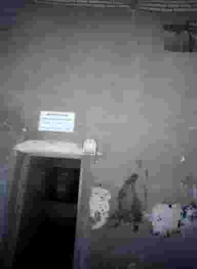 نانوایی در شهید قربانی مشهد