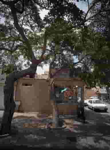 نان نمونه فری در سمرقند مشهد