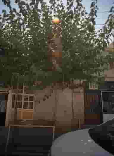 نان برکت مسجدی در شهادت تهران