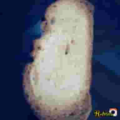 نانوایی ابریشمی در باغ تخت شیراز