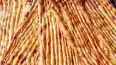 نانوایی بربری در شهادت تهران