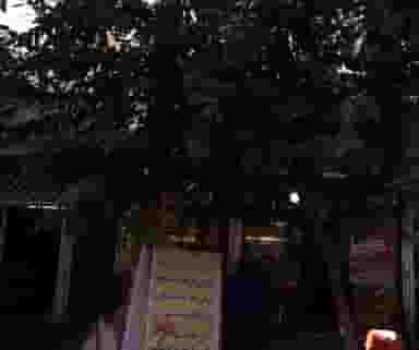 نان فانتزی برادران در کوثر تهران