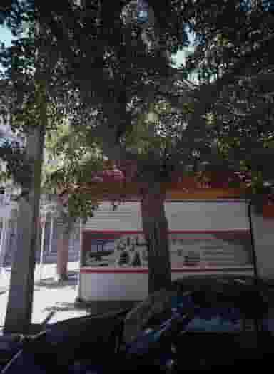 سفیدشویی و اتوشویی باران در بهشت مشهد