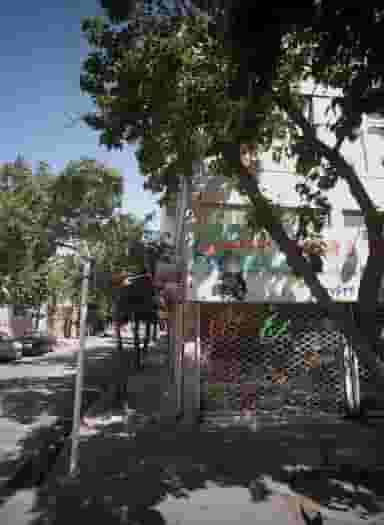 برنج جامی در ابوذر مشهد