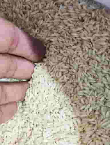 فروشگاه اینترنتی برنج ایران در اسلام آباد کرج