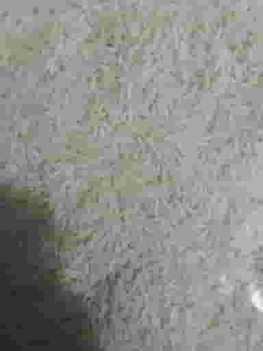 برنج فروشی برادران صفری در شاهین ویلا کرج