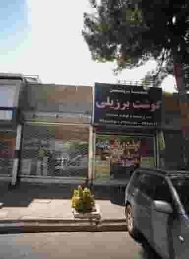 برنج کاشمری در کارمندان اول مشهد