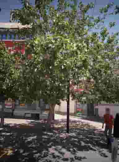 فروشگاه پروتئینی در هنرور مشهد