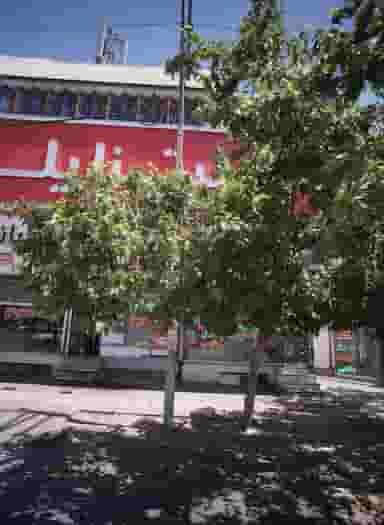 سوپر پروتئینی در هنرور مشهد