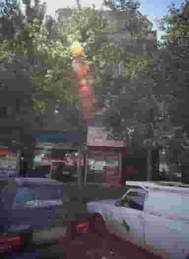 فروشگاه پروتئینی بلوط کوی امیرالمومنین مشهد